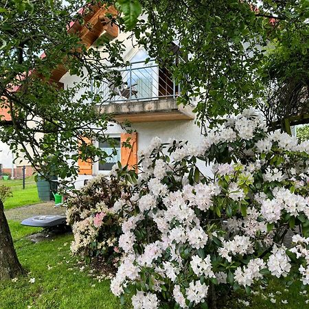 Ferienhaus Das Haeuschen Cabarz エクステリア 写真
